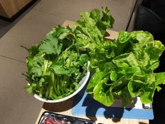 -陈记顺和牛肉火锅馆(天河北路店)