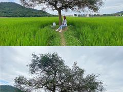 景点-风云岭森林公园