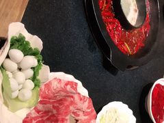 -渝大狮毛肚老火锅(普陀店)