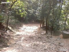 -火炉山森林公园