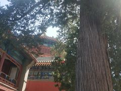 -大钟寺古钟博物馆