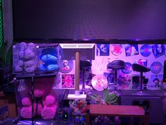 -红牌美蛙鱼头火锅(万辉国际广场店)
