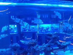 -上和臻品中国菜(花园街店)