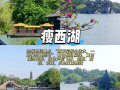 -陈记菜馆·非遗淮扬菜(东关街教场店)