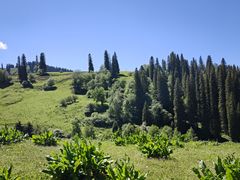 -新疆那拉提国家旅游度假区