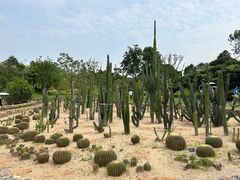 -东莞植物园