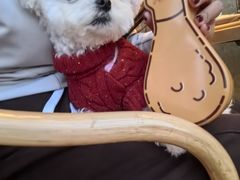 -Grande A'moo(上海万象城店)