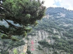 -武当山风景区