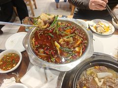 -乡土特色.冷锅鱼.牦牛肉汤锅