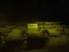 -汉景帝阳陵博物院