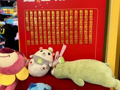 -爱玩嘉年华(龙湖源著天街店)