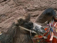 -天山神秘大峡谷