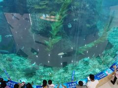 -鸿通城购物中心