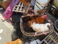 -小倪羊肉米线馆
