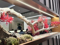 -牛New寿喜烧(新六百店)