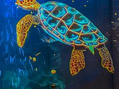 -海合安成都极地海洋公园