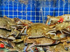 -77号渔船·蒸海鲜青岛菜(积米崖店)