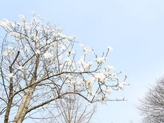 -琅琊山景区