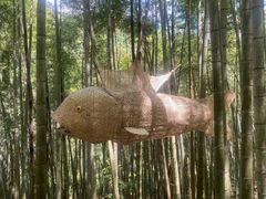 -石台牯牛降景区