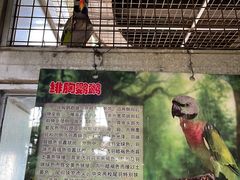 -武清南湖绿博园