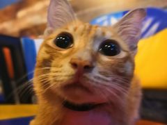 -Doors独立剧情密室(东门分店)