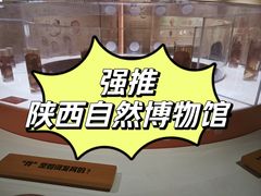 -陕西自然博物馆