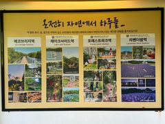 -济州森林小火车生态公园