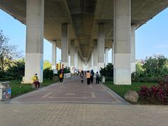-中澳友谊花园