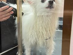 -FAELING PETS美天灵宠物(富力广场店)