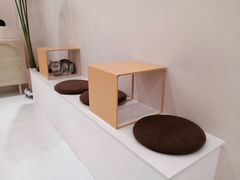 用餐区-echoes coffee回响咖啡(红山店)