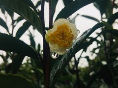 -金牛山大酒店(南北湖风景区店)