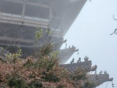 -杭州半山国家森林公园