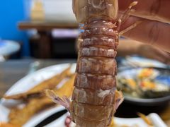 -鲁前海沿儿