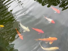 -园林格兰云天大酒店-太极名厨中餐厅