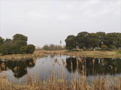 -漕湖湿地公园