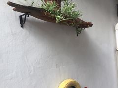 -美味之家·湖景农家乐(太湖东山店)