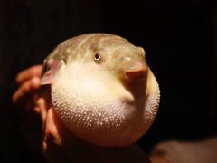 -永安鱼庄·镇江菜(东吴路店)