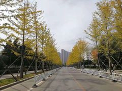 -东北大学(南湖校区)
