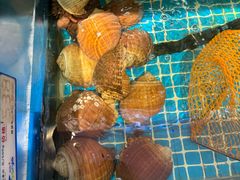 -不仔客海鲜·烧烤·270度海景餐厅(大东海店)
