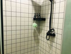 点击看大图 -薇薇安花系SPA