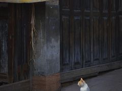 -尧坝古镇