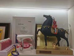 -维乐口腔(美维云门诊陆家嘴店)