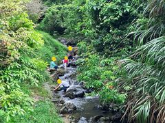 -梧桐山风景名胜区