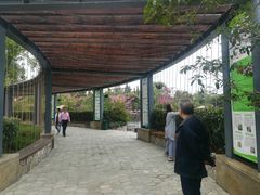 -成飞公园