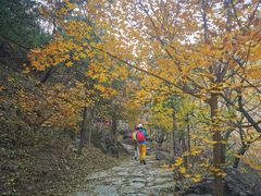-北京鹫峰国家森林公园