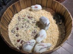 -正佳雨林生态植物园