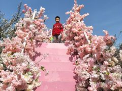 -古柏渡飞黄旅游区