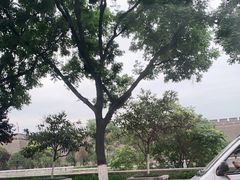 -西安城墙·碑林历史文化景区