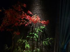 -富侨养生(威宁路店)