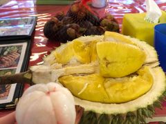 山竹-都念榴莲·城市榴莲